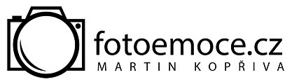 Primary Raster logo